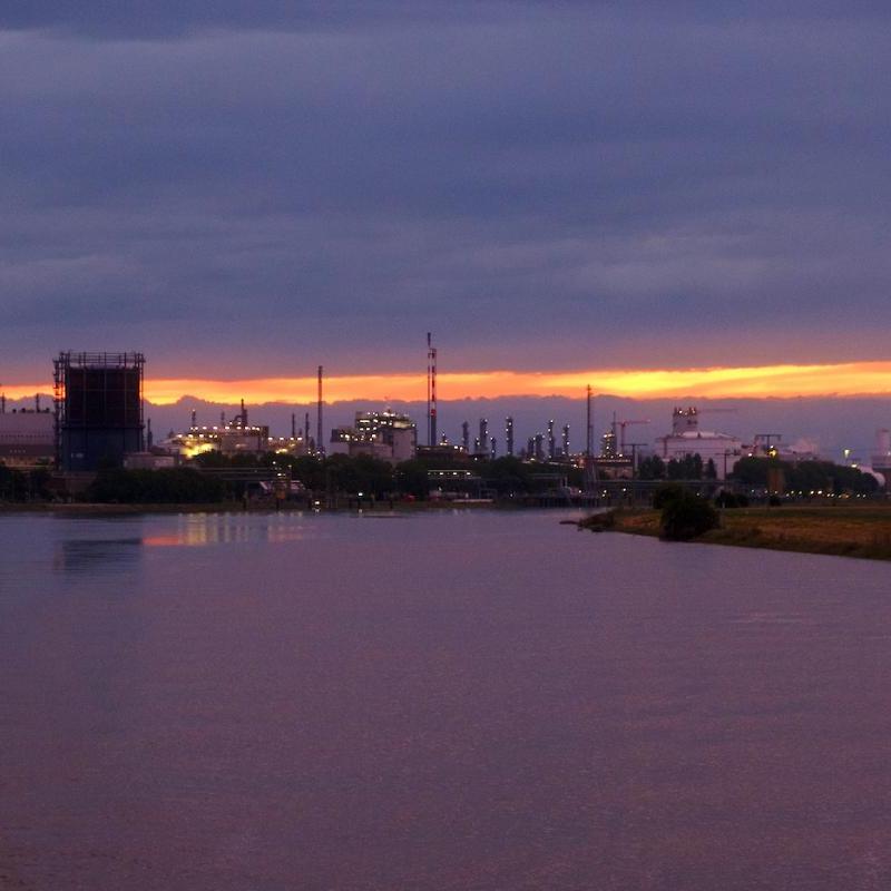 Neckarmündung mit Blick auf die BASF – Foto Robin Siebert